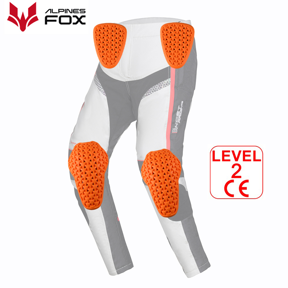 Motorcycle Gear Alpine - CE Level 2 perlengkapan pelindung sepeda
